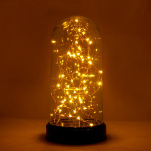 30L Mini LED Warm White String Light in Dome 9 Inch High Battery Powered